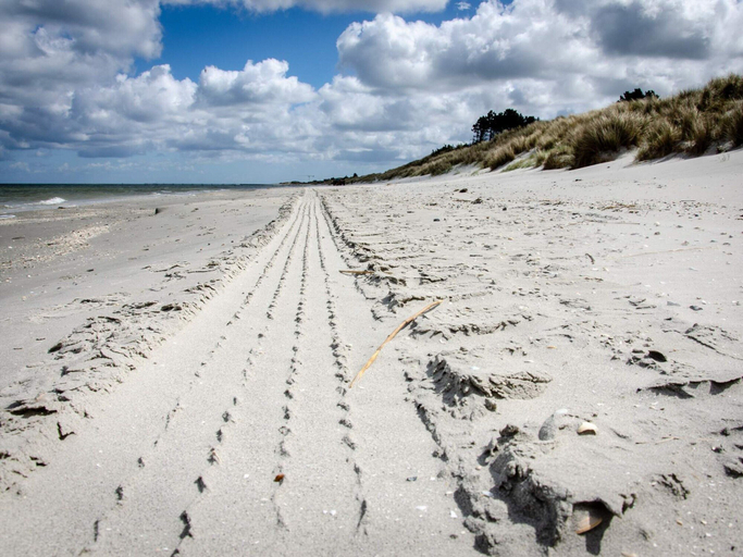 Others 5, Luxury Retreat in Albaek, Frederikshavn