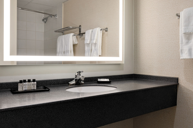 Bathroom 4, Wyndham Edmonton Hotel and Conference Centre, Division No. 11