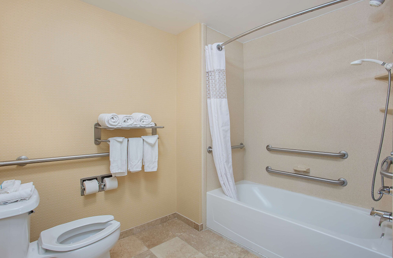 Bathroom 4, Hampton Inn Covington, GA, Newton