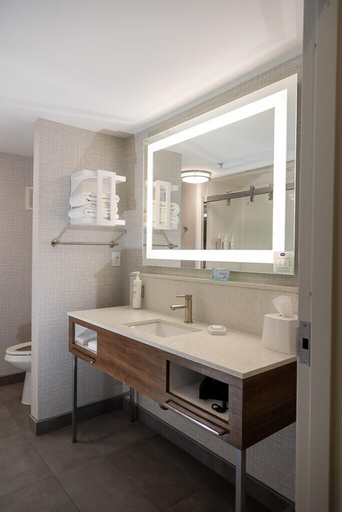 Bathroom 4, Hampton Inn & Suites Houston - Rosenberg, Fort Bend