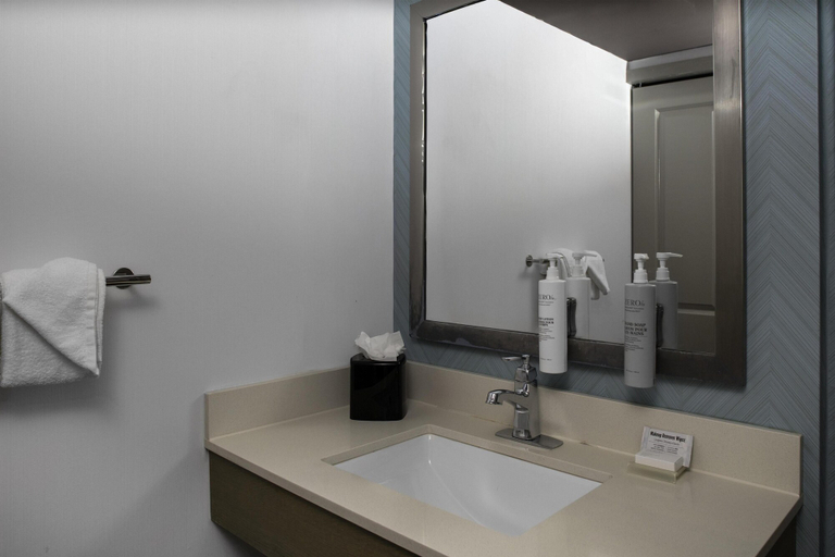 Bathroom 4, Hilton Garden Inn Miami South Beach, Miami-Dade