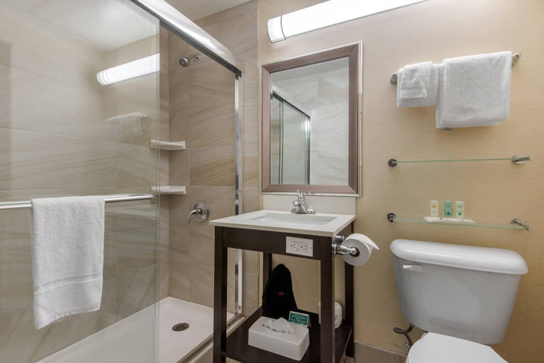 Bathroom 4, Quality Inn & Conference Centre Downtown, Greater Sudbury