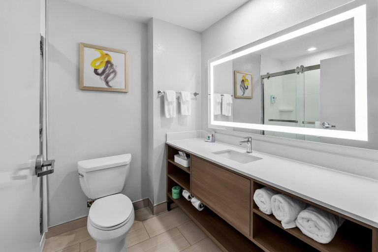 Bathroom 4, Comfort Inn & Suites Plainville-Foxboro, Norfolk