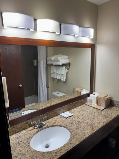 Bathroom 5, Quality Inn & Suites Green Bay - Ashwaubenon, Brown