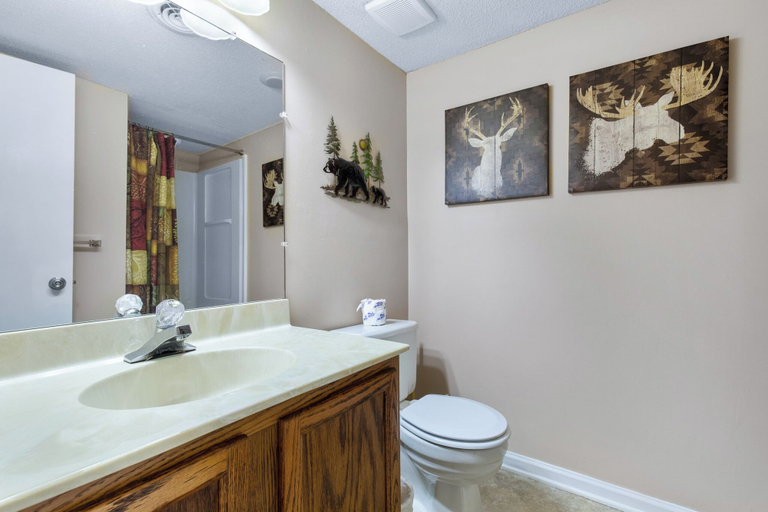 Bathroom 5, Mountain View Memories by Jackson Mountain Rentals, Sevier