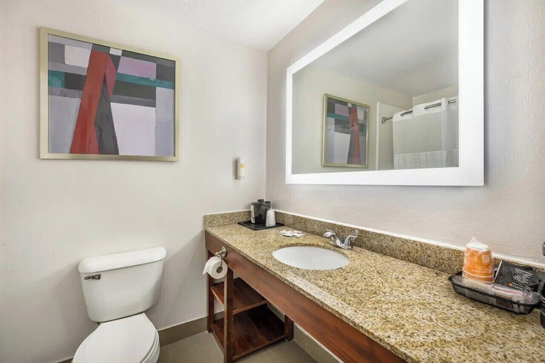 Bathroom 4, Comfort Suites Omaha Northwest, Douglas