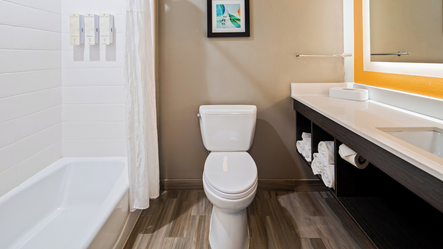 Bathroom 4, Holiday Inn Express And Suites Pasadena Houston Southeast by IHG, Houston