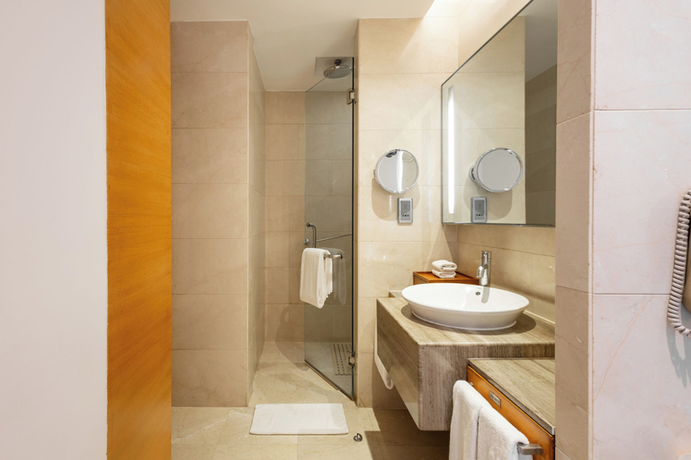 Bathroom 5, Hyatt Pune, Pune