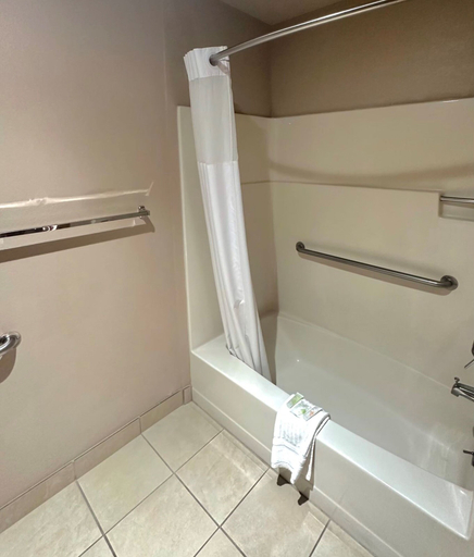 Bathroom 5, Prospero's Flagship Inn, Jackson