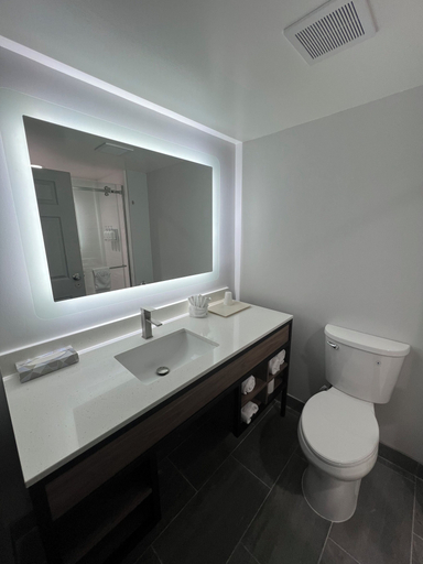 Bathroom 5, La Quinta Inn & Suites by Wyndham Duluth/Atlanta, Gwinnett