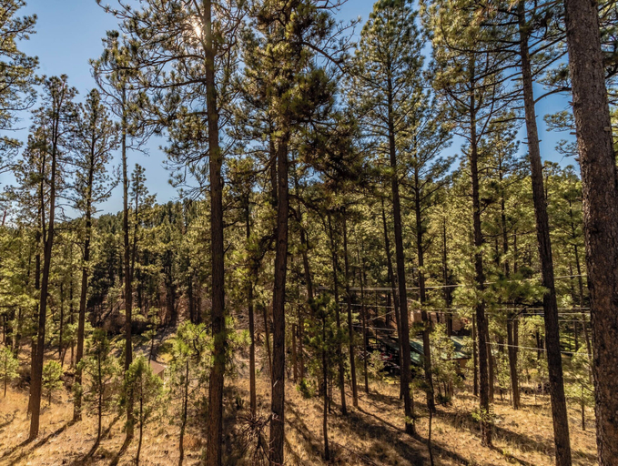 Others 5, My Happy Place by Ruidoso Vacation Rentals, Lincoln
