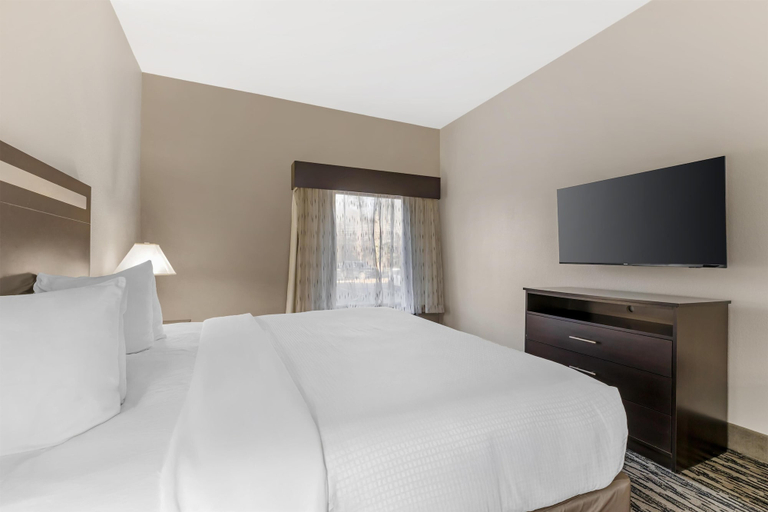 Bedroom 3, Best Western Plus Mcdonough Inn & Suites, Henry