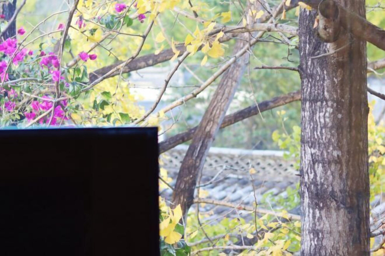 Others 3, Qiudieyuan Inn, Baoshan