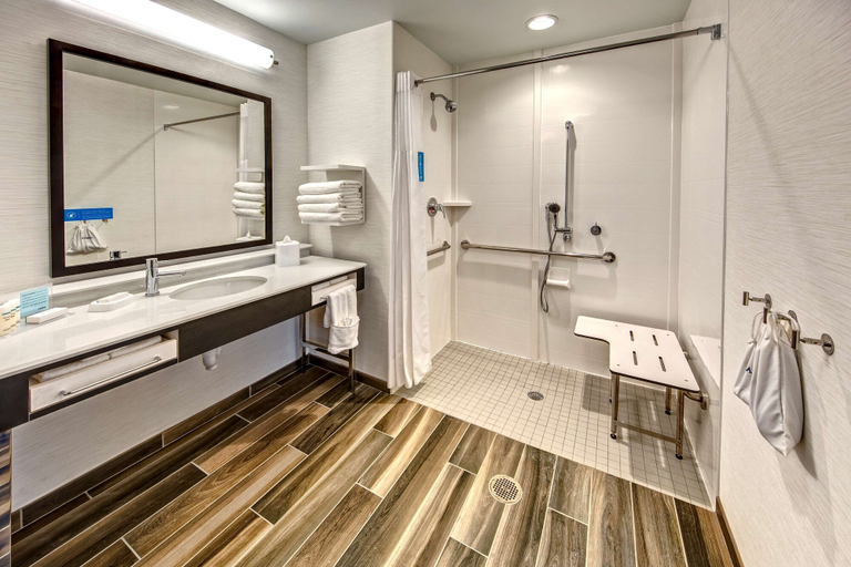 Bathroom 4, Hampton Inn & Suites Franklin Berry Farms, Williamson