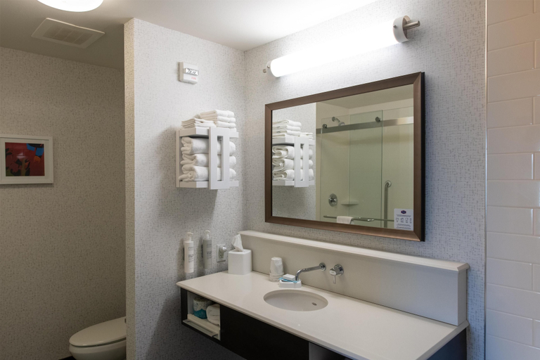 Bathroom 4, Hampton Inn Orange City, Sioux
