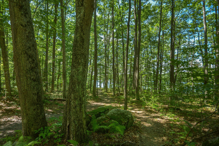 Others 5, Innisfree by Taylor Made Deep Creek, Garrett