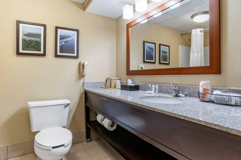 Bathroom 4, Comfort Inn Pearl-Jackson, Rankin