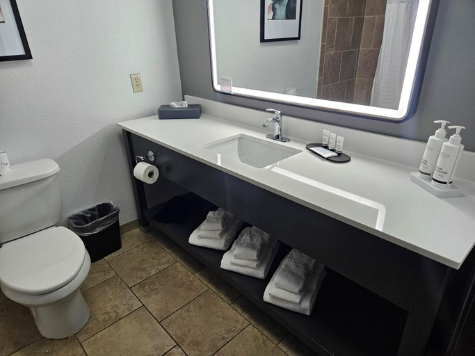 Bathroom 3, La Quinta Inn & Suites by Wyndham Minot, Ward