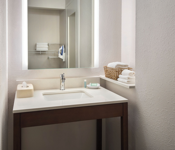 Bathroom 3, Residence Inn by Marriott Pittsburgh Monroeville/Wilkins, Allegheny