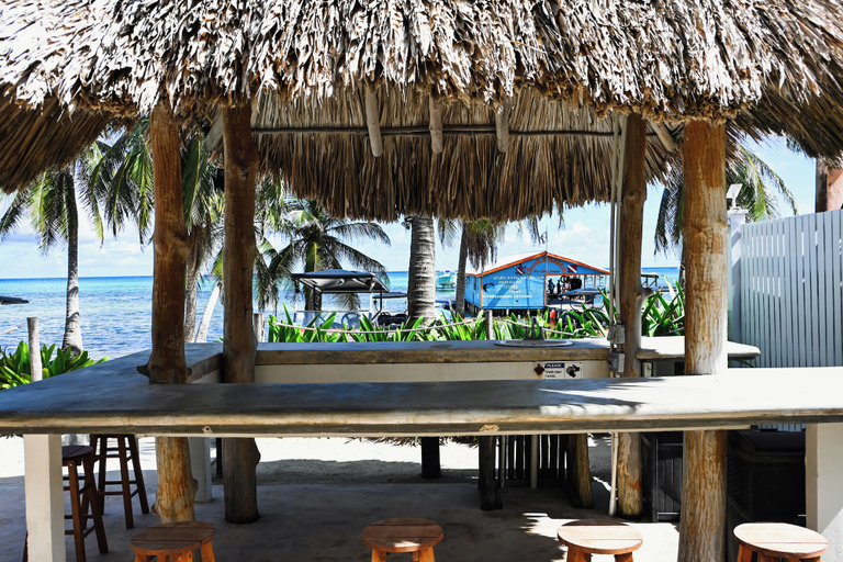 Food & Drinks 5, The Palapa House