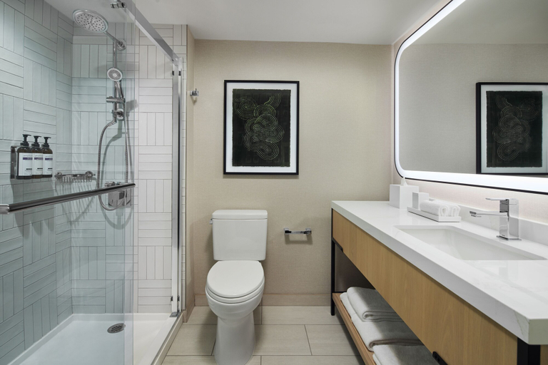 Bathroom 5, Hyatt Regency Washington on Capitol Hill, Washington D.C.