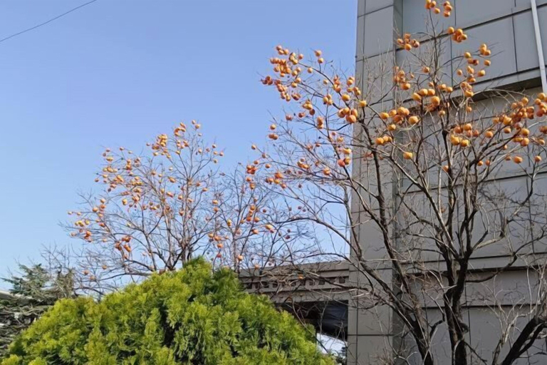 Exterior & Views 2, Mizhou Hotel, Weifang