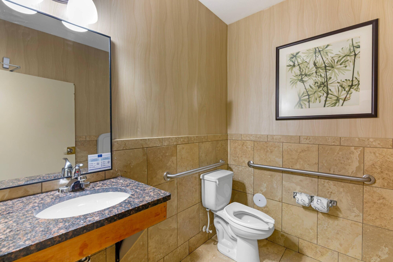 Bathroom 4, MainStay Suites Tioga, Williams