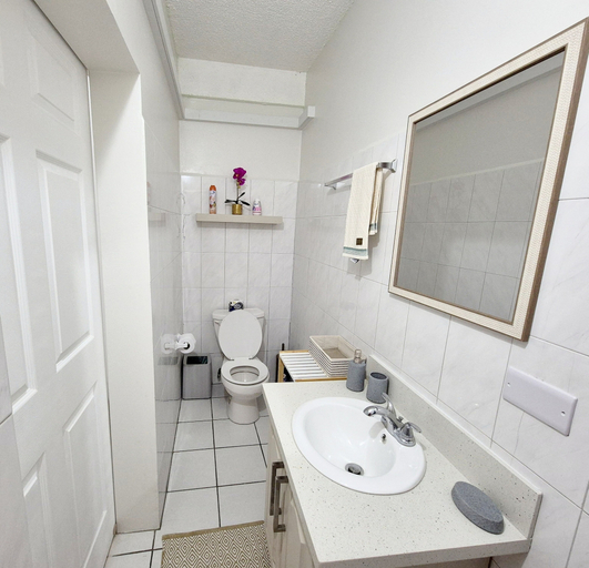 Bathroom 3, Silver View Apartments