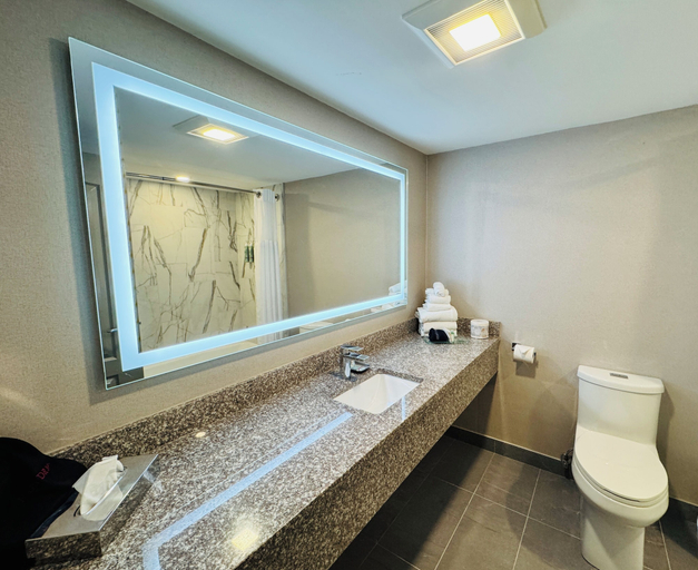 Bathroom 4, Best Western Mountainview Inn, Columbia-Shuswap
