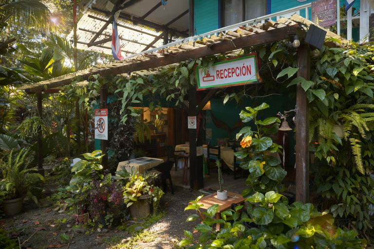 Exterior & Views 2, Faith Glamping Dome Costa Rica, Talamanca