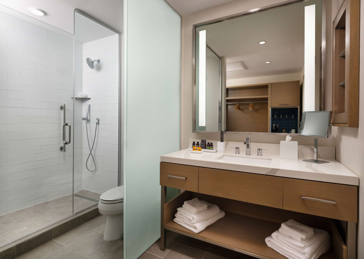 Bathroom 4, Canopy by Hilton Dallas Frisco Station, TX, Collin