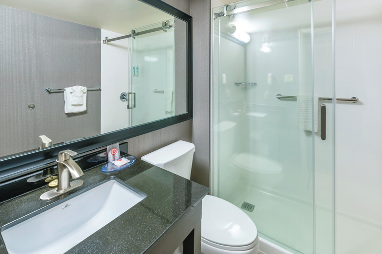 Bathroom 4, Comfort Inn Sudbury East, Greater Sudbury
