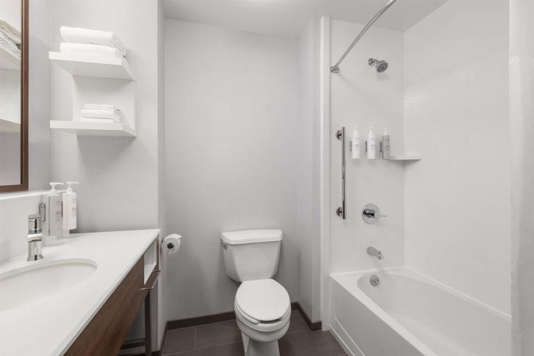 Bathroom 4, Hampton Inn Majestic Chicago Theatre District, Cook