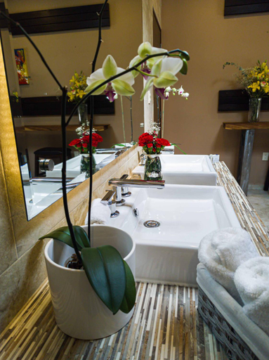 Bathroom 2, Hotel Matea San Isidro, Ixtapan de la Sal
