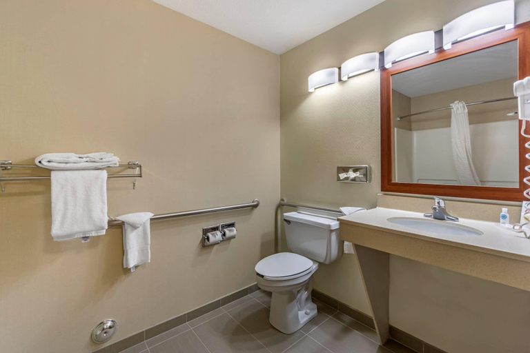 Bathroom 4, Comfort Inn Kennewick Richland, Benton