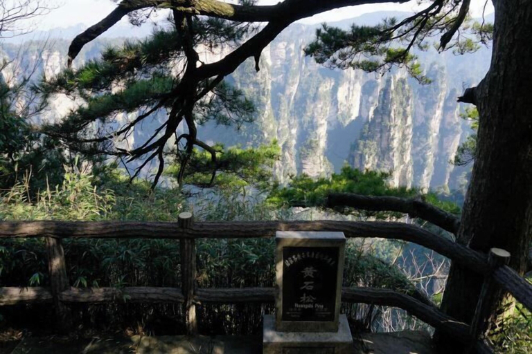 Others 5, Zhangjiajie Wulingju Inn (Wulingyuan Scenic Area), Zhangjiajie
