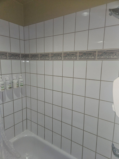 Bathroom 4, Travelodge by Wyndham Edson, Division No. 14