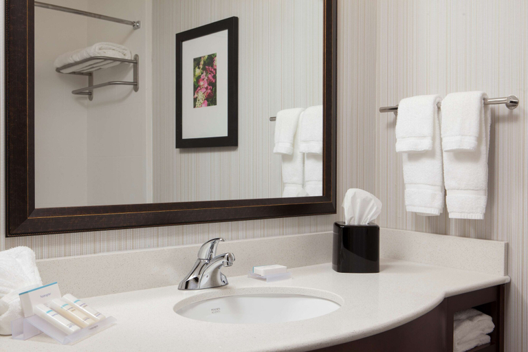 Bathroom 4, Hilton Garden Inn Bettendorf/ Quad Cities, Scott
