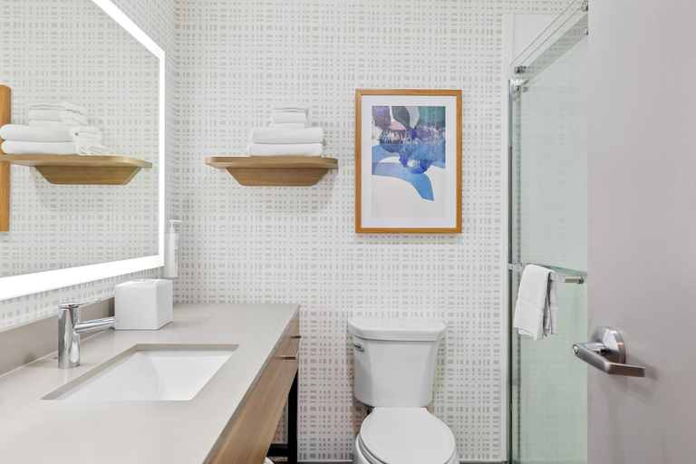 Bathroom 4, Hampton Inn Akron-Fairlawn, Summit