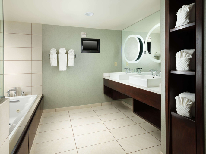 Bathroom 5, DoubleTree by Hilton Hotel Chattanooga Downtown, Hamilton