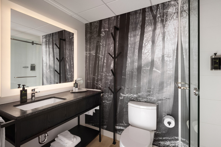 Bathroom 4, Peaks Hotel & Suites, Division No. 15