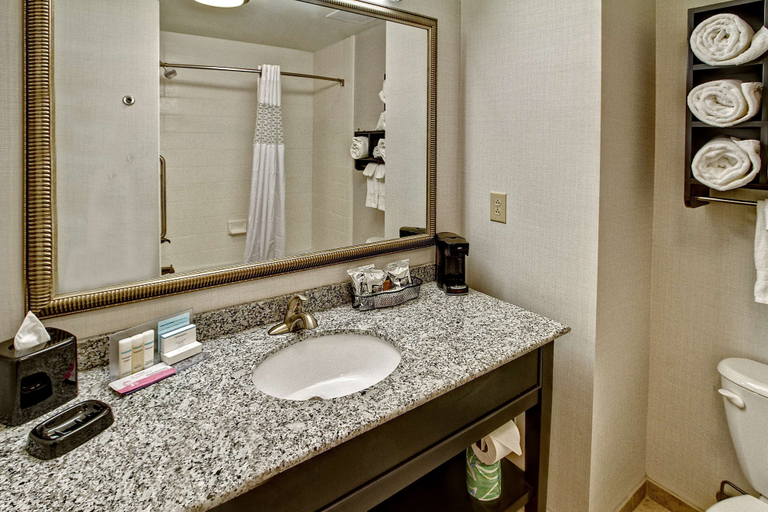 Bathroom 4, Hampton Inn Clarksdale, Coahoma