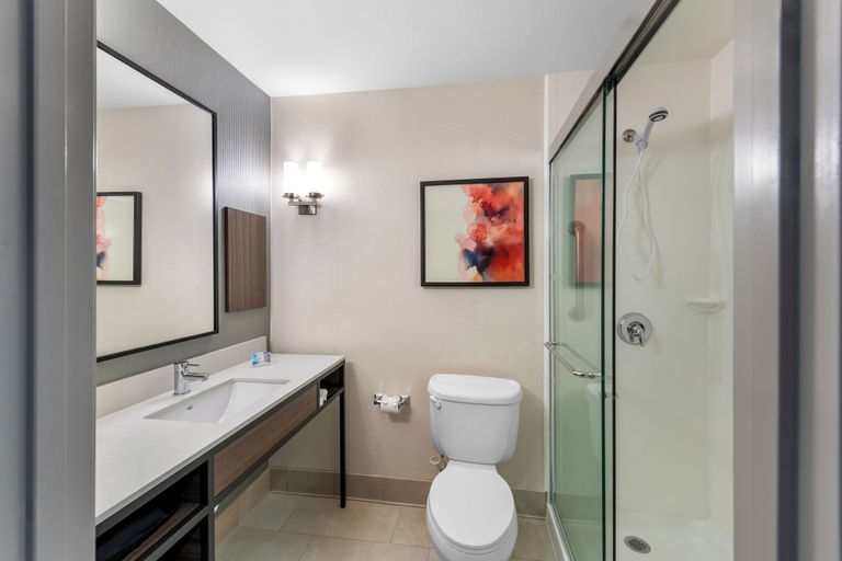 Bathroom 4, Hilton Garden Inn Overland Park, Kansas City