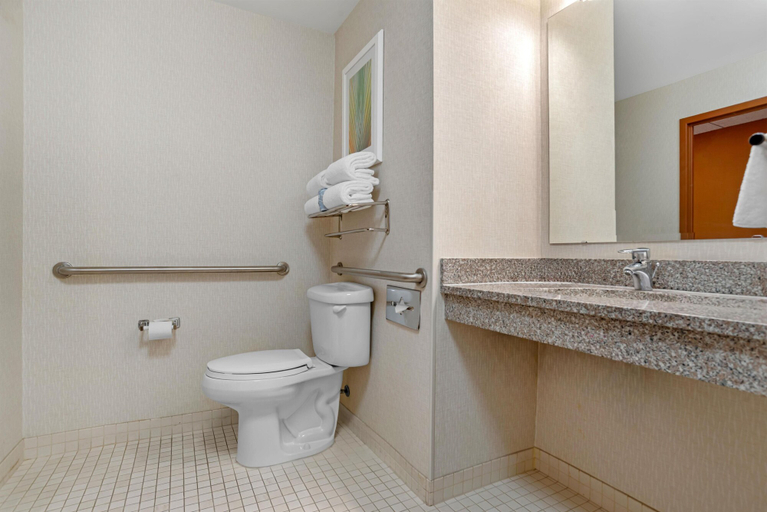 Bathroom 5, Drury Inn & Suites Baton Rouge, East Baton Rouge