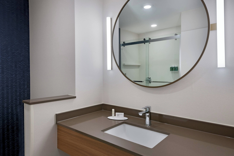 Bathroom 4, Fairfield Inn & Suites by Marriott Charlotte Monroe, Union