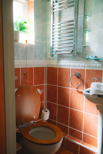 Bathroom 3, Bradleigh Lodge, Cornwall