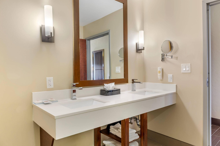 Bathroom 4, Comfort Suites Florence - Cincinnati South, Boone