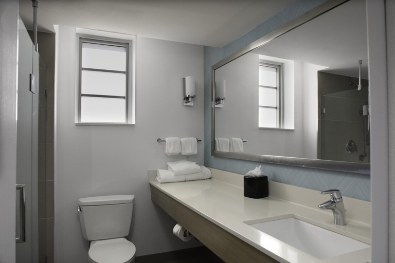 Bathroom 4, Hilton Garden Inn Miami South Beach, Miami-Dade