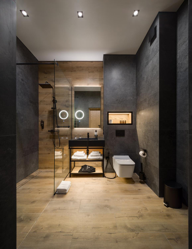 Bathroom, Apartel Skhidnytsya, Drohobyts'kyi