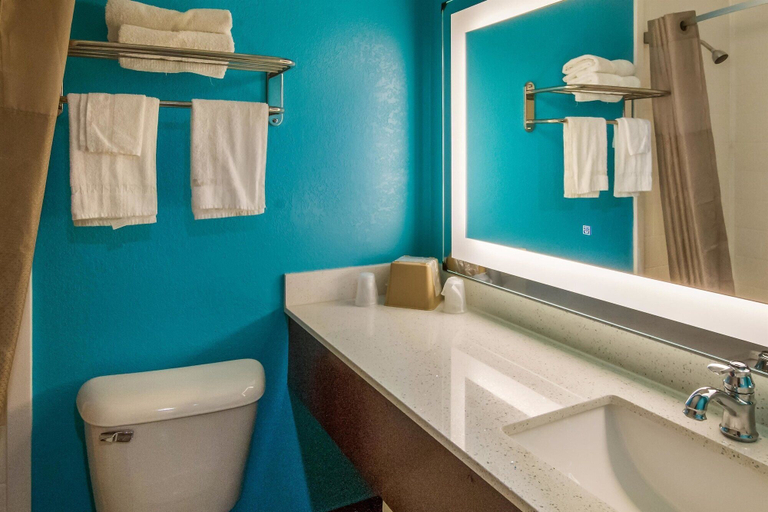 Bathroom 4, Motel 6 Rossford, OH, Wood